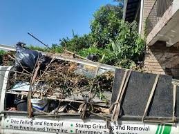 Best Demolition Debris Removal  in St Charles, MI